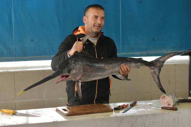 Šibenik: Sabljarka od 25 kg plijenila pozornost na ribarnici