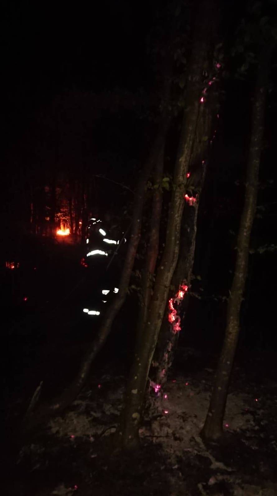 Vidjeli piromana kako podmeće požar, opet gorjelo kod Požege!