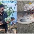 Misterij iz Dunava: Ribič ulovio 'mutanta', društvene mreže gore od nagađanja