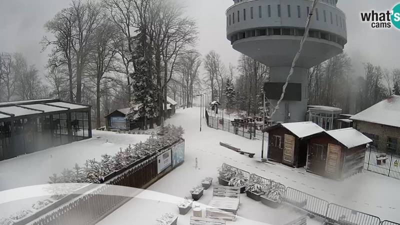 Predsjednik zagrebačkog Crvenog križa: Djeca su na toplom i sigurni su, ne brinite