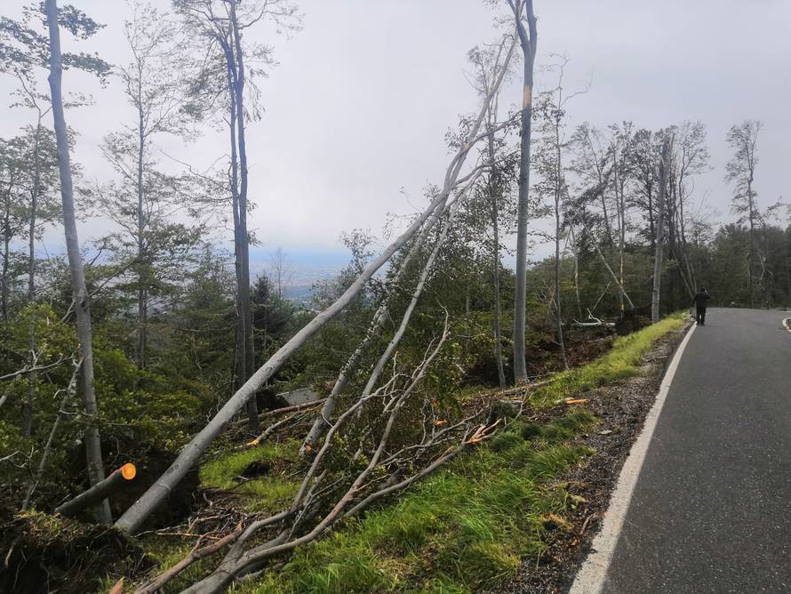 Prizor katastrofe: Oluja srušila stotine stabala na Medvednici