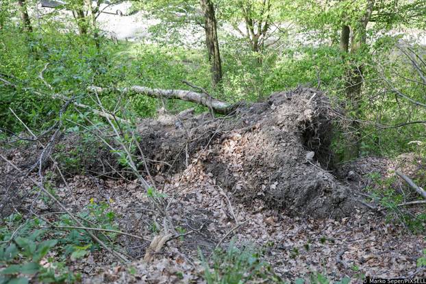 Zagreb: Tri tjedna nakon razorne oluje na Sljemenu i dalje vidljive posljedice 