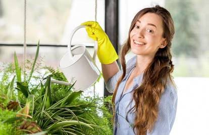 Biljke nisu samo lijepe, u domu mogu i očistiti zrak od toksina