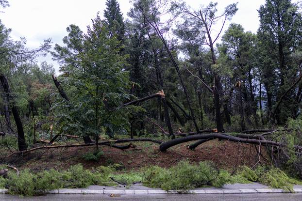 Olujno nevrijeme poharalo Mostar 