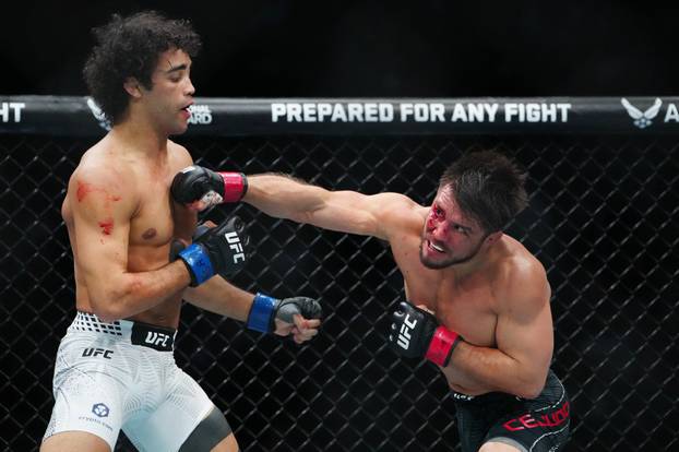 MMA: UFC 323 - Cejudo vs Talbott