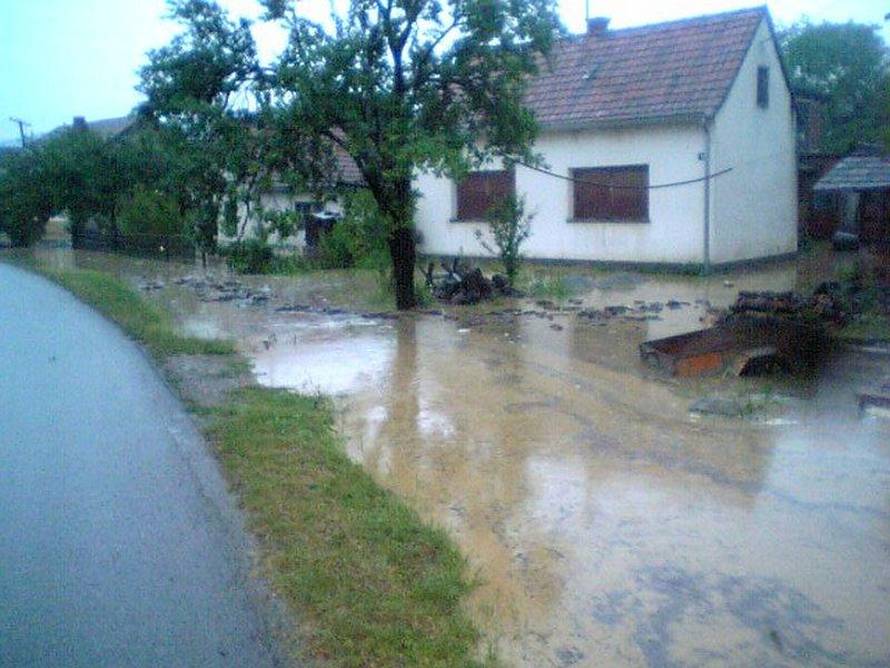 Č.24sata