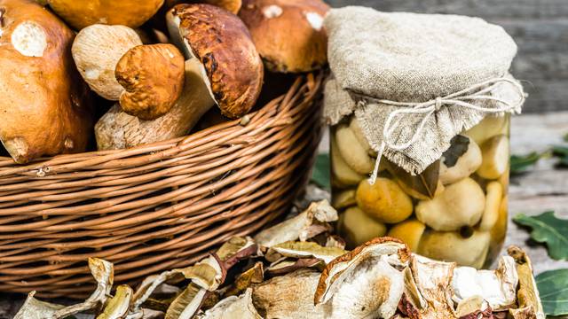 Znanstvenici: Ako želite bolje pamtiti, svaki dan jedite gljive