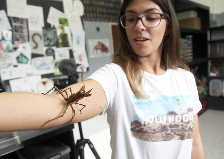 Marko je kralj tarantula: Ima ih 150, a pokrenuo je i posao...