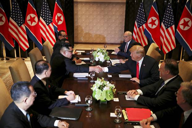 U.S. President Donald Trump shakes hands with North Korea