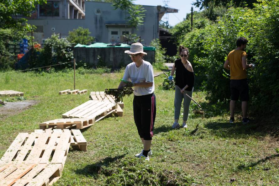 Saznajte trikove urbanog vrtlarenja u sklopu Dana D