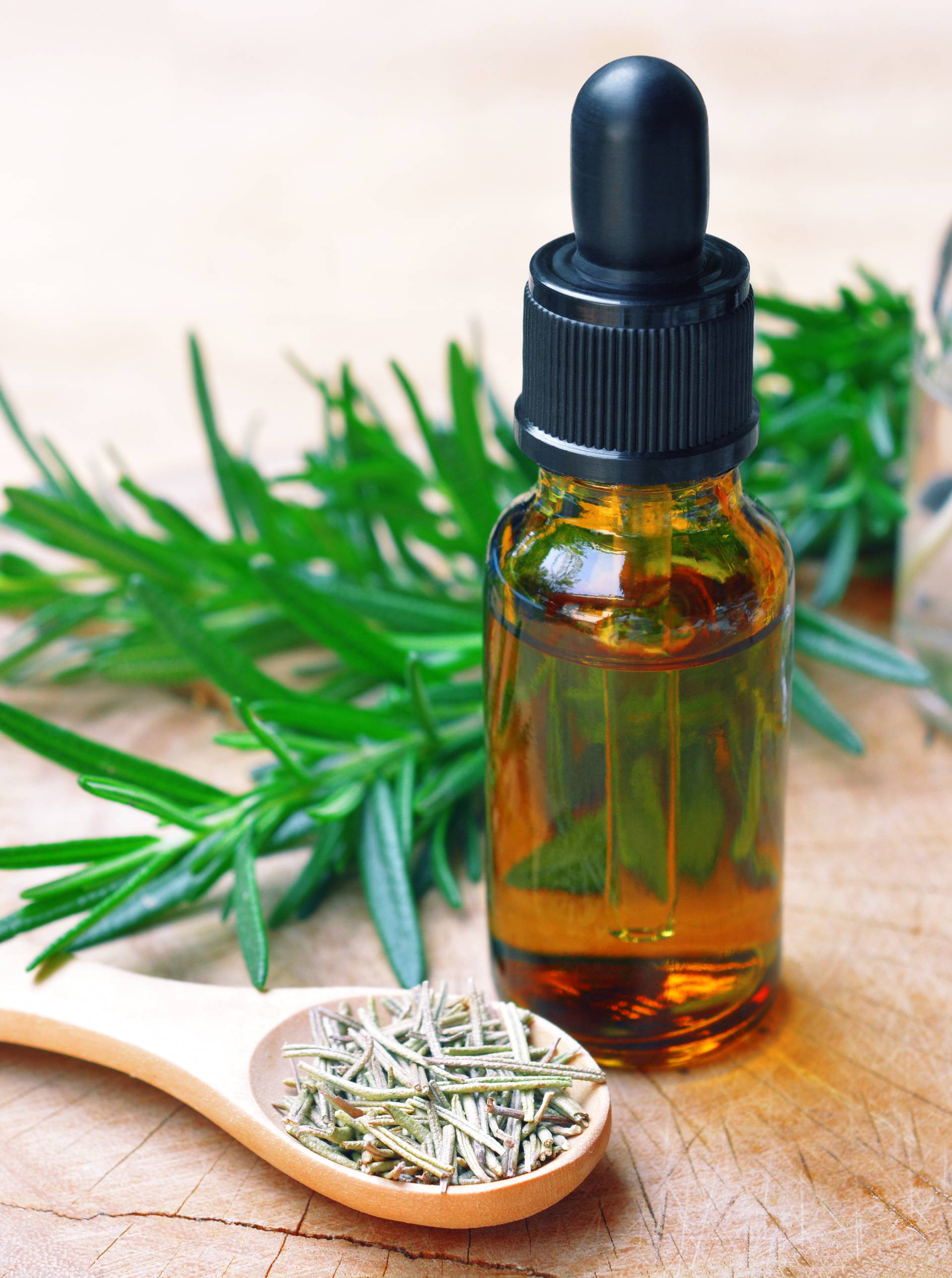 rosemary aromatherapy oil extract