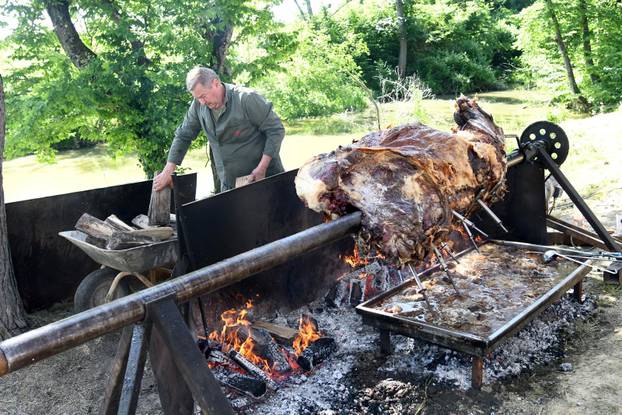 Grubišno Polje: Pečeni vol spreman za na izletištu Bara povodom Dana državnosti