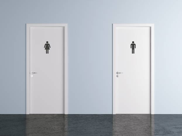 toilet doors for male and female genders