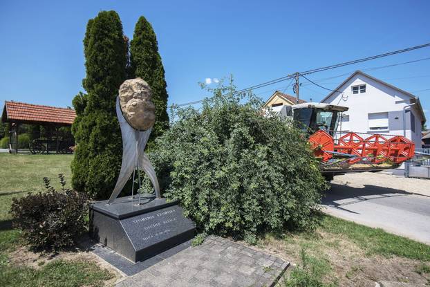 Posebni spomenici međimurskih općina
