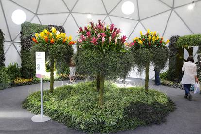 Otvorena 56. Međunarodna vrtna izložba 'Floraart'