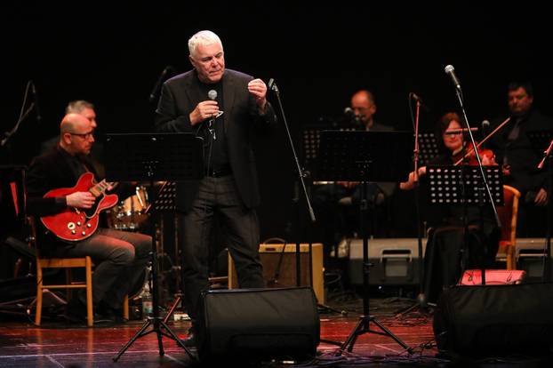 U Gradskom kazali&scaron;tu Zorin dom u Karlovcu odr&zcaron;an je koncert "Arsen na 4 rijeke"