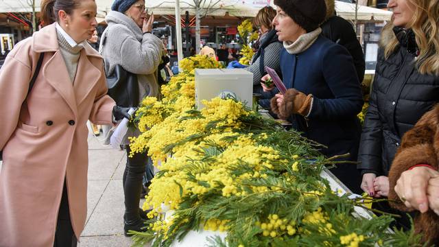 Dan mimoza obilježen u Zagrebu