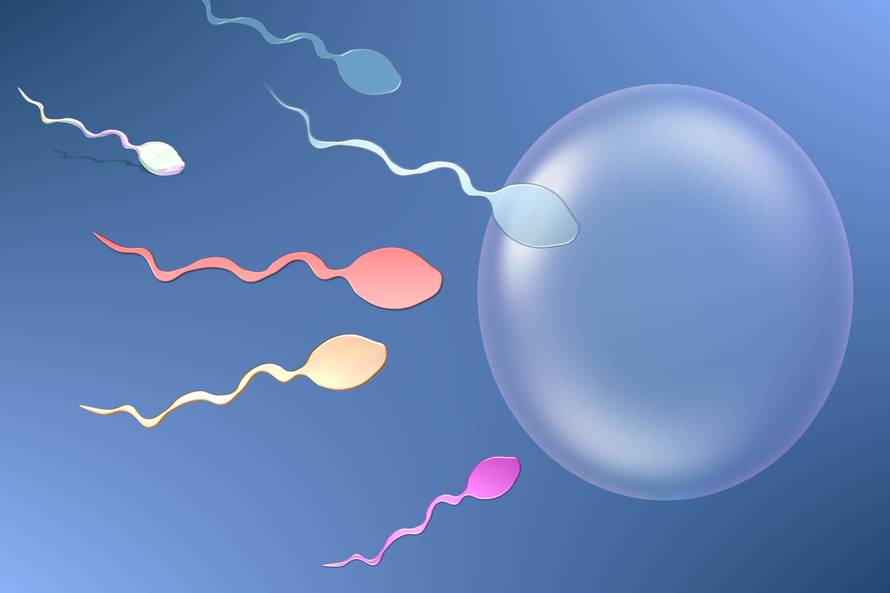 Broj spermija kod muškaraca pada, još nitko ne zna zašto