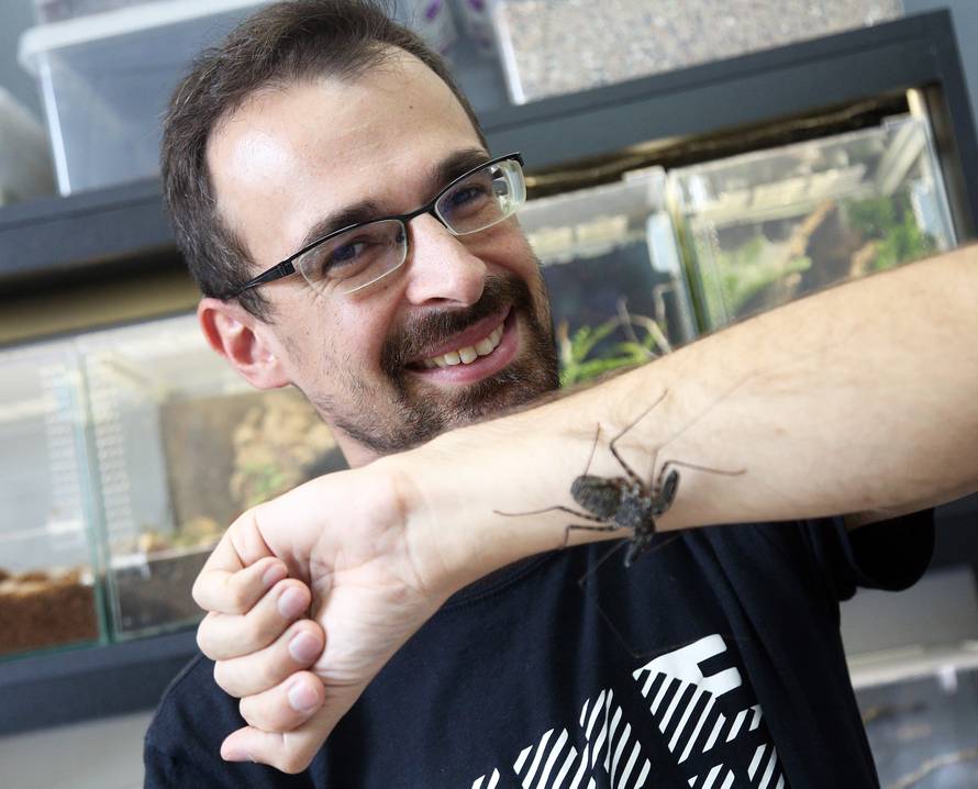 Marko je kralj tarantula: Ima ih 150, a pokrenuo je i posao...