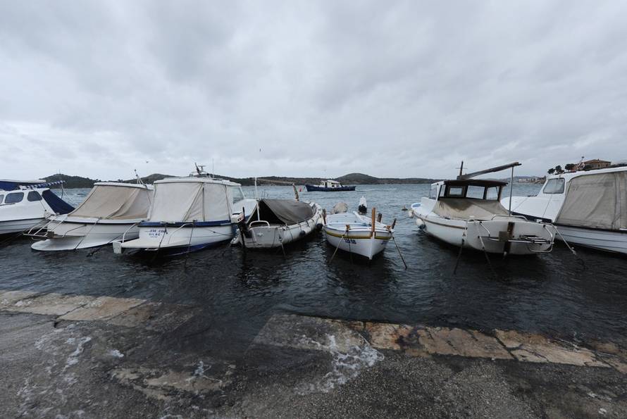 Hrvoje Jelavić/PIXSELL