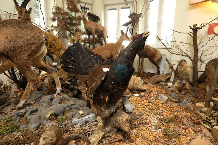 24SATA Izložba "100 godina hrvatskog lovstva" u Lovačkom muzeju