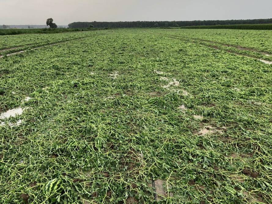 Nevrijeme zahvatilo Hrvatsku: O svemu se oglasila i policija...