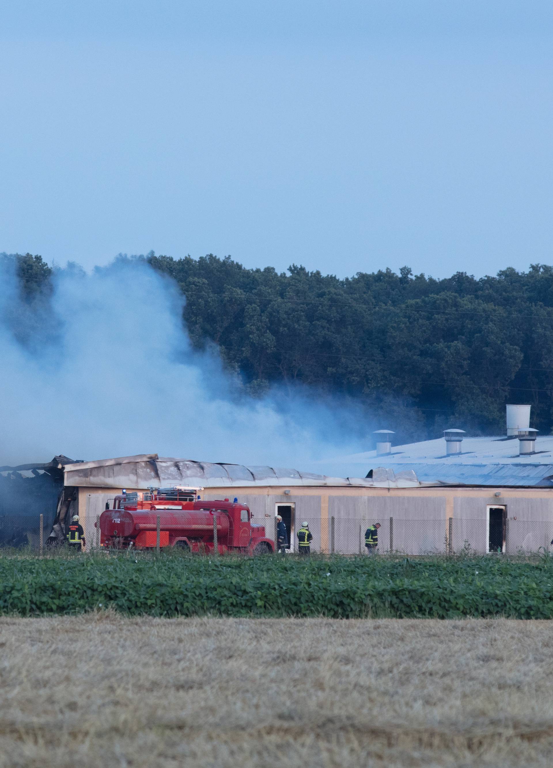 AndrijaÅ¡evci: Izgorjela Pikova farma svinja, stradalo 1000 svinja?