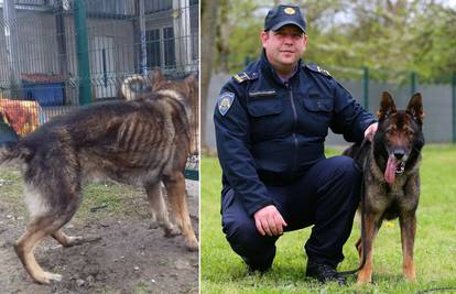 Od skitnice do policajca: 'Arsen je dobio novi život i karijeru...'