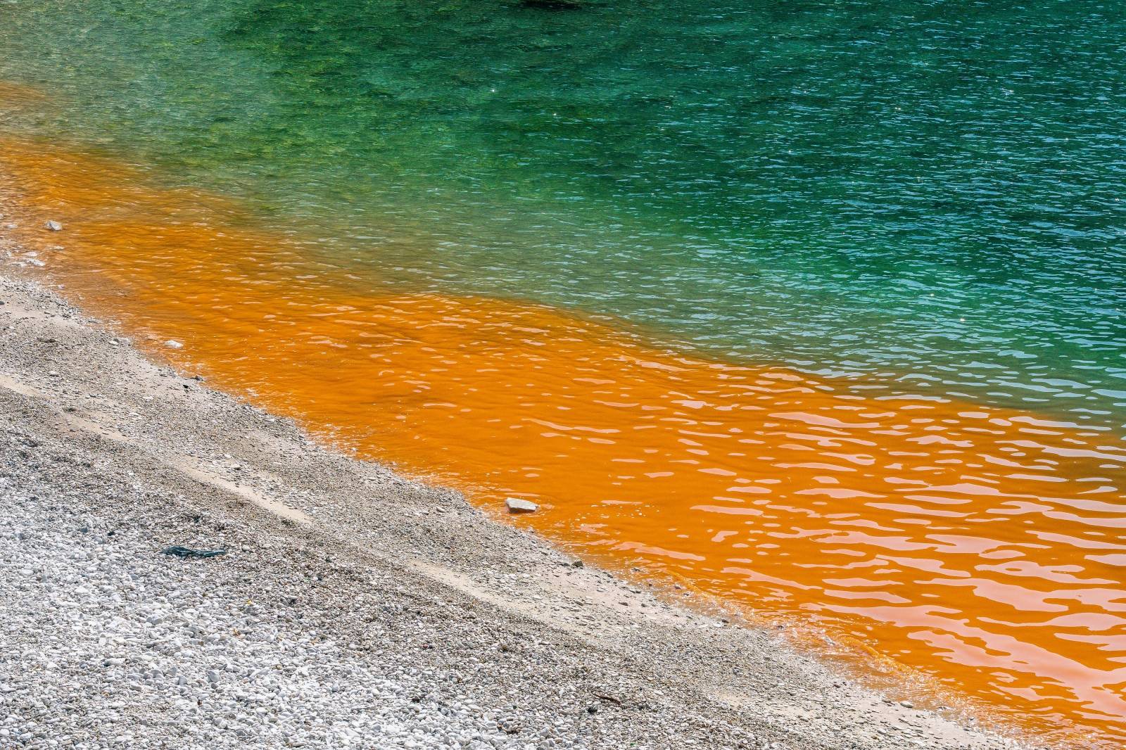 Cvjetanje mora na pojedinim pulskim plažama