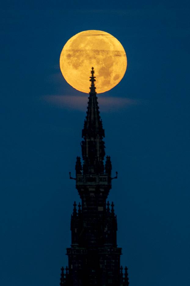 Blue Moon