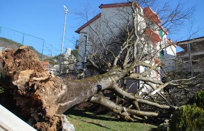 Što vi mislite: Tko je odgovoran za uragane, poplave i suše?