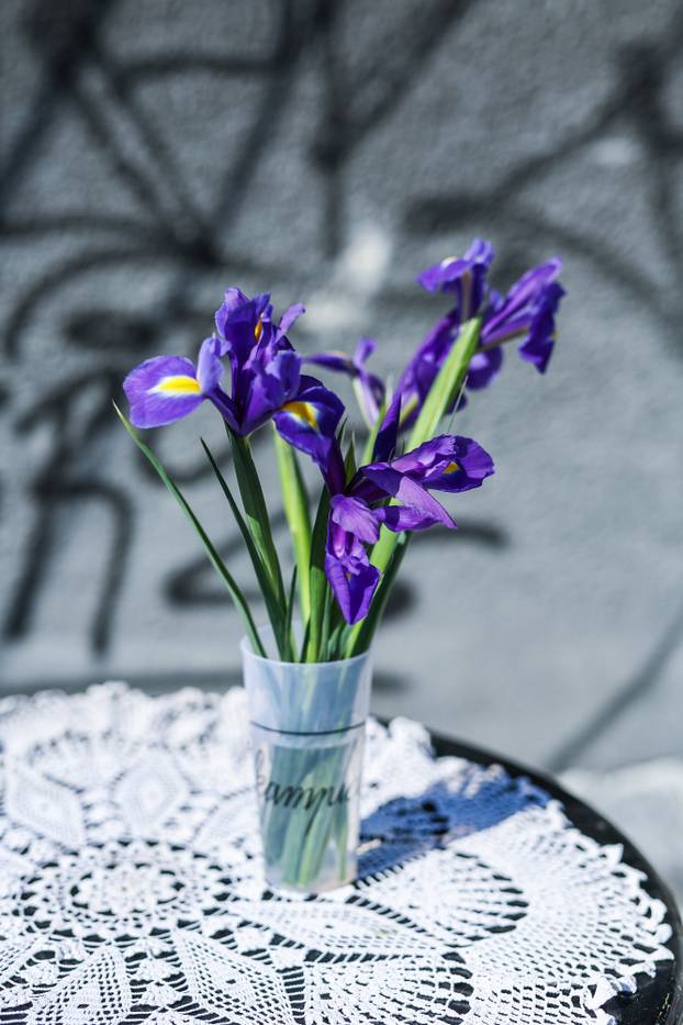 Zagreb: Izložba biljaka Plant market