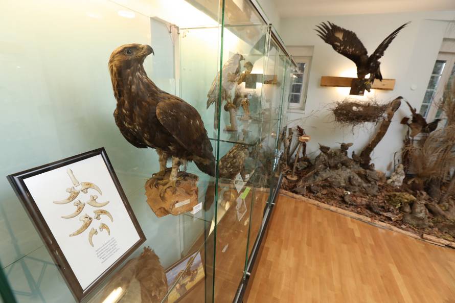 24SATA Izložba "100 godina hrvatskog lovstva" u Lovačkom muzeju