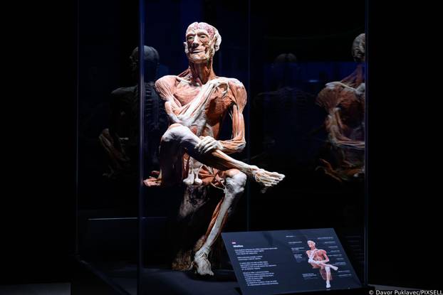 Zagreb: Konferencija uoči otvorenja izložbe seciranih ljudskih tijela Body Worlds Vital