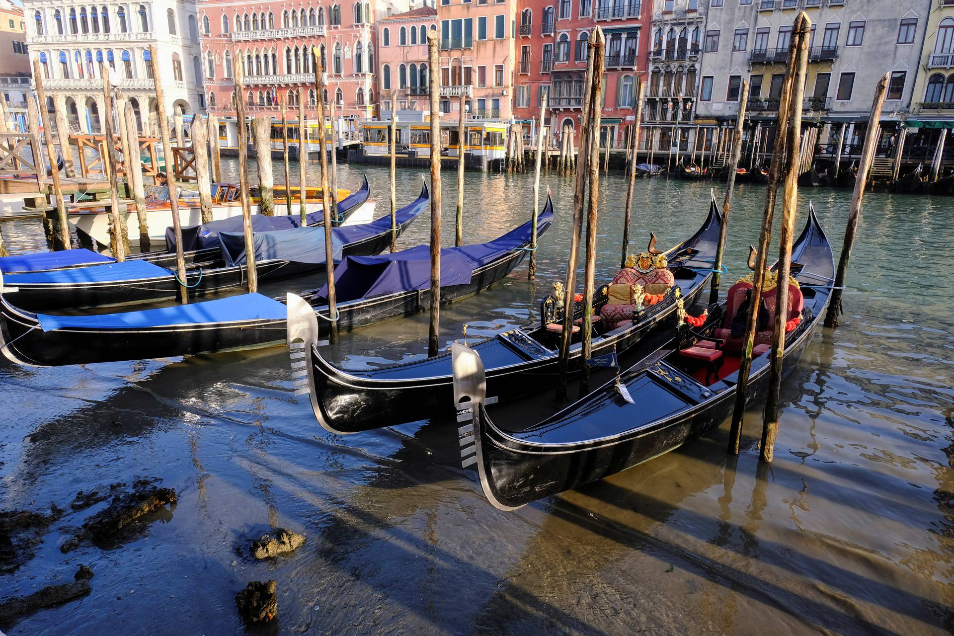 Gondolas are seen in Grand Canal during an exceptionally low tide in the lagoon city of Venice