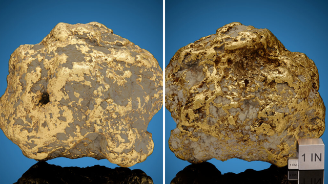 Na Aljasci pronašli najveći grumen zlata, na dražbi su ga prodali za 750.000 dolara