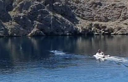 Panika zbog biologa: Mislili su da pucaju u kita i zvali policiju
