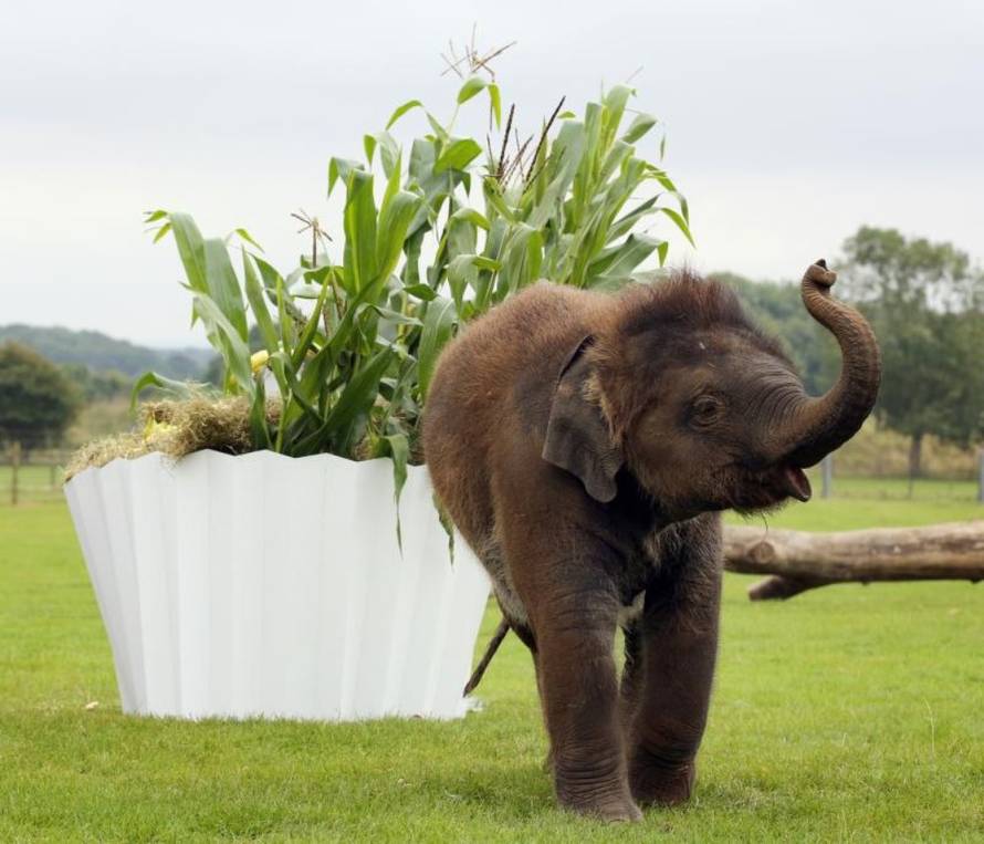 Press Association/Pixsell