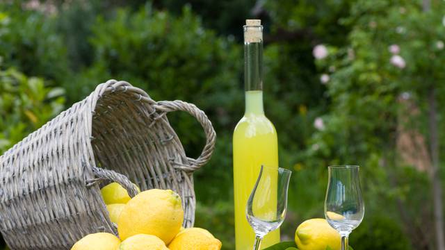 Limun može narasti čak i do šest metara: Odličan je za zdravlje