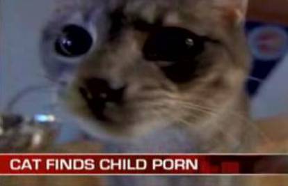 Dilera dječje pornografije uhitili zbog mačke Sofi