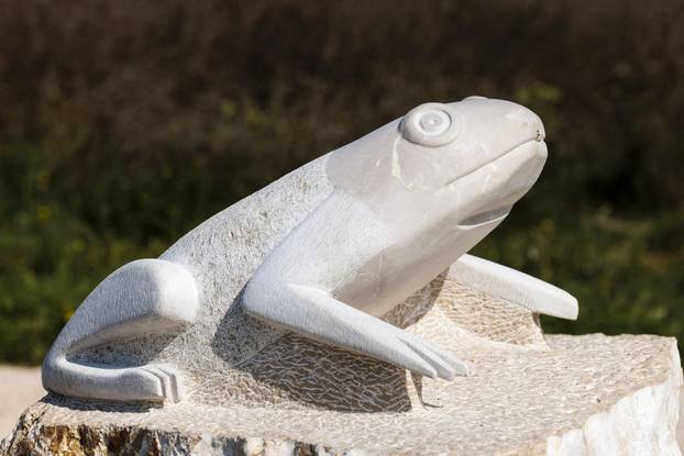 U Zmijavcima otkriven spomenik žabi