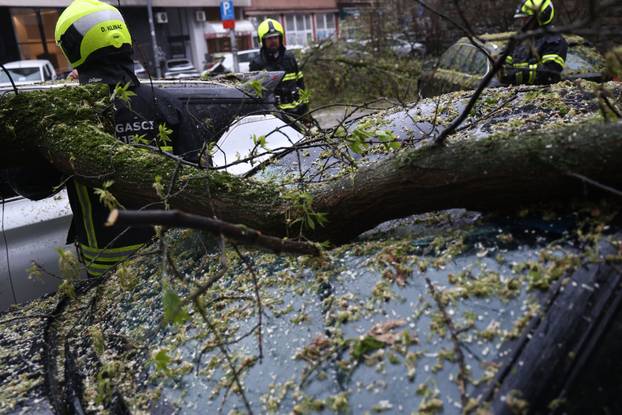 Zagreb:  Nevrijeme i jak vjetar ruše drveće koje pada po automobilima 