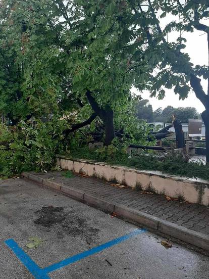 GALERIJA  Poplave u Zagrebu, u Istri vjetar rušio stabla, na Pagu olujno more razbijalo čamce