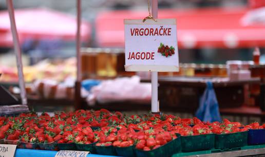 Počela je berba finih vrgoračkih jagoda: Kilogram stoji 4 eura