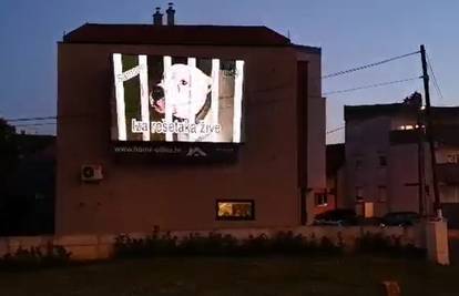 Na velikom ekranu u Zagrebu pokazuju pse kojima traže dom