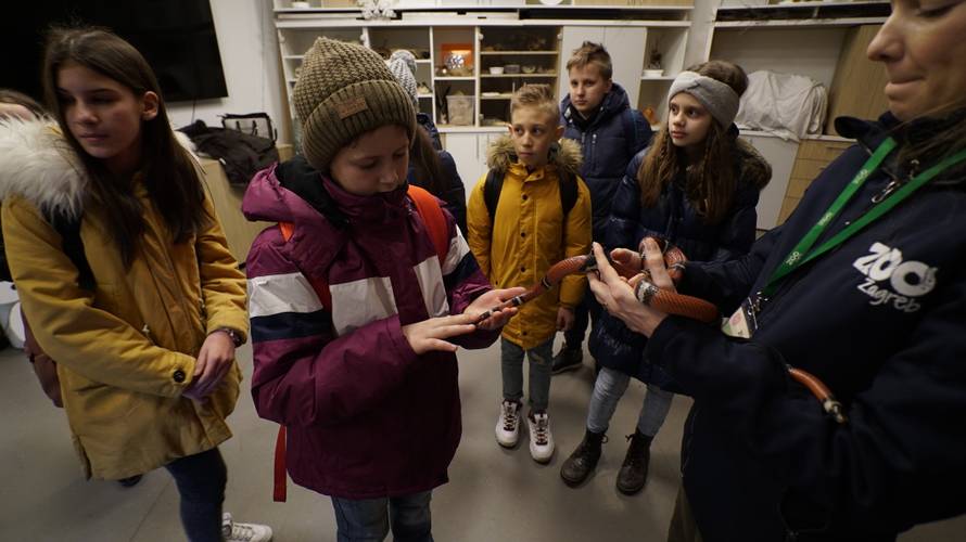 Božićno iznenađenje: Učenici iz Slavonije prvi put u Zoološkom