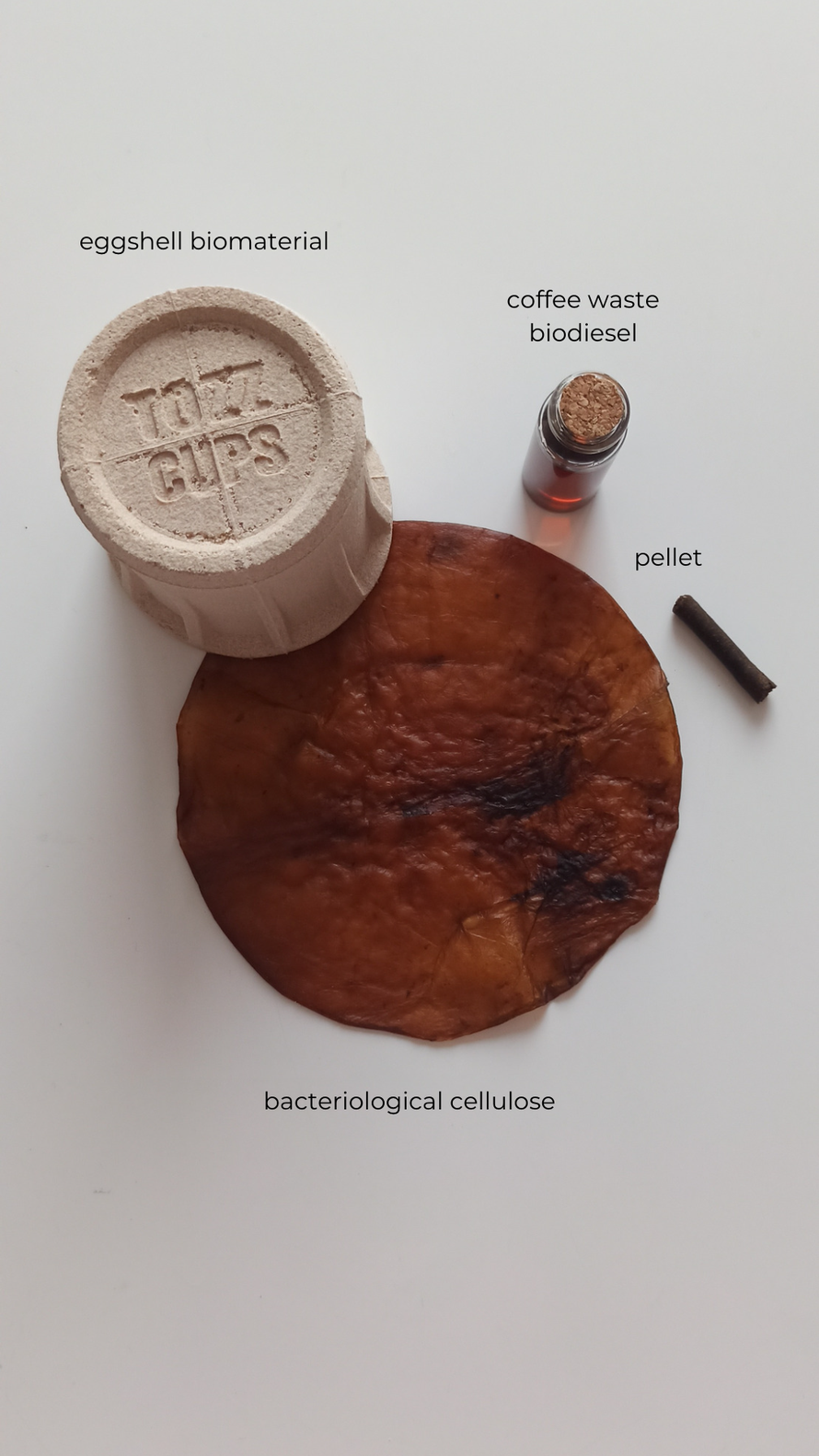 Maja je jedina biodizajnerica u regiji: 'Materijale za odjeću radim od algi, gljiva i bakterija'