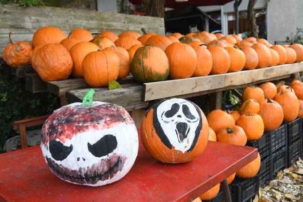 Čukovec: Selo jagoda pretvoreno je u selo bundeva