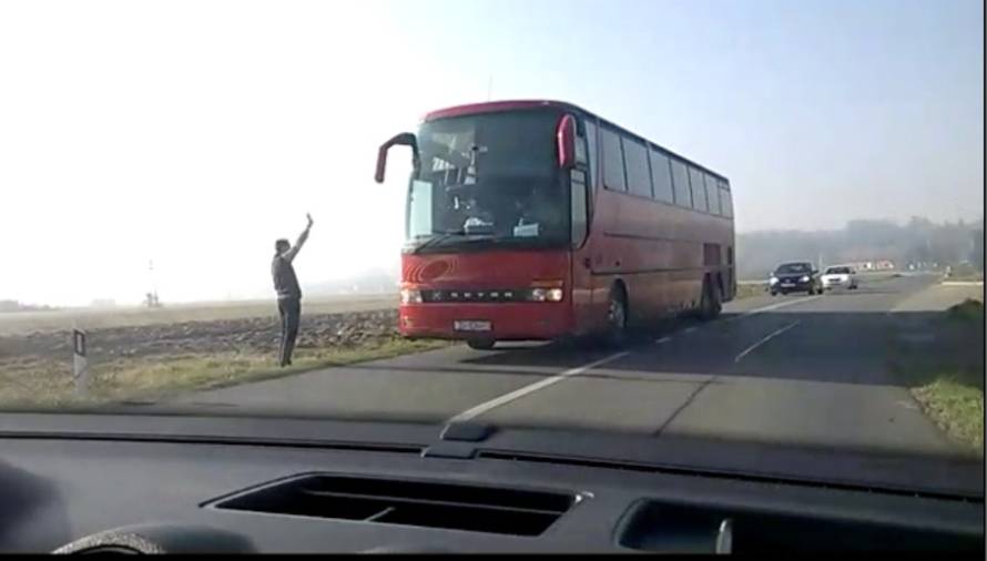 Krave "ne poštuju" prometne znakove: Vozači čekali prolaz 