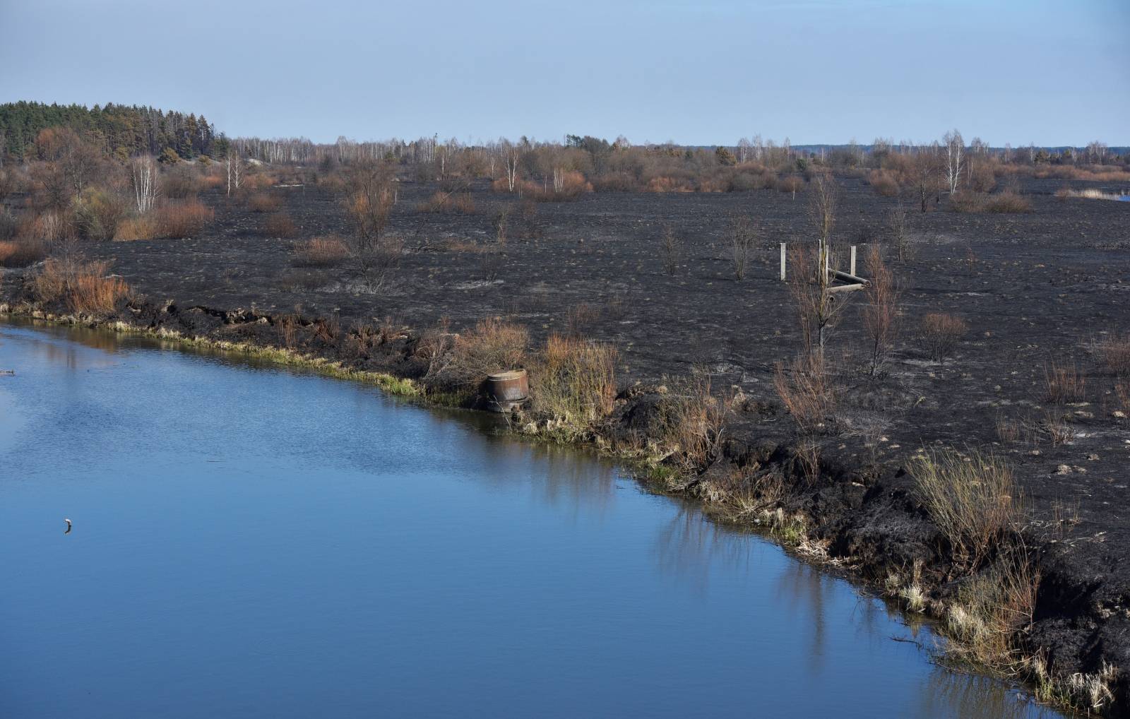 A view shows burned bushes and grass after a forest fire outside the settlement of Poliske located in the exclusion zone around the Chernobyl nuclear power plant